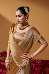 Close-up view of the saree blouse, zari texture and embellishment.